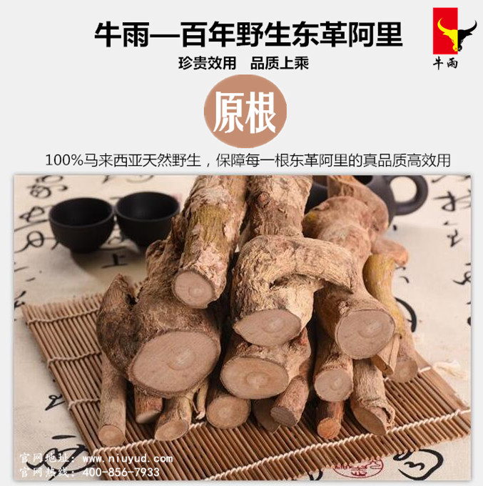 马来西亚三大国宝之一东革阿里